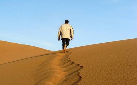 Продвижение молодого сайта: как пройти пустыню Сахару и остаться живым?