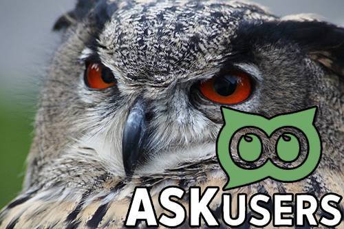 Спроси пользователя: обзор сервиса Askusers
