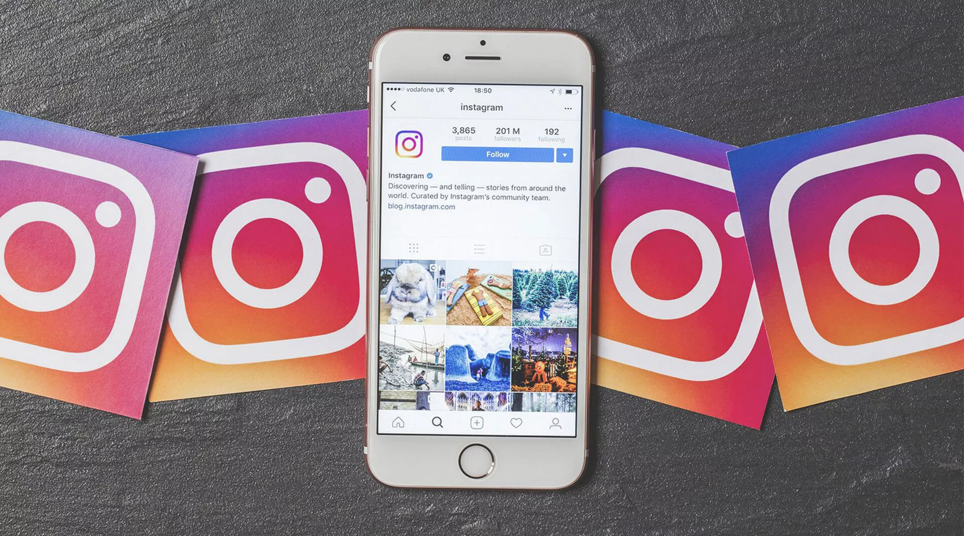 50+ примеров рекламы у блогеров Instagram