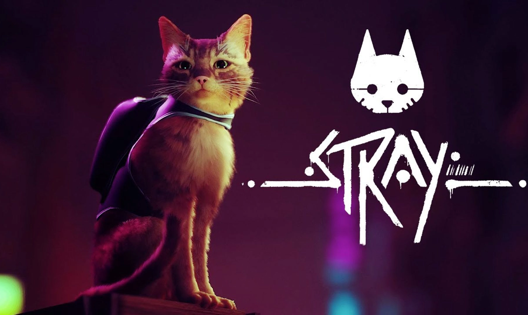 Игра Stray: геймплей, сюжет и отзывы