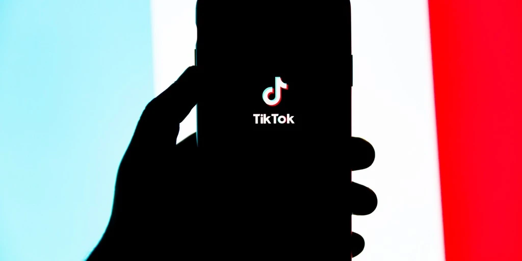 Как скачать музыку и видео из TikTok без водяного знака: 3 способа