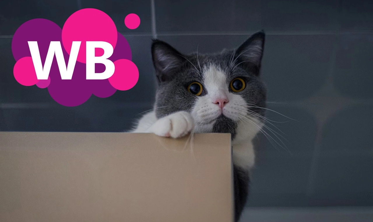 10 самых прибыльных товаров для выхода на Wildberries прямо сейчас
