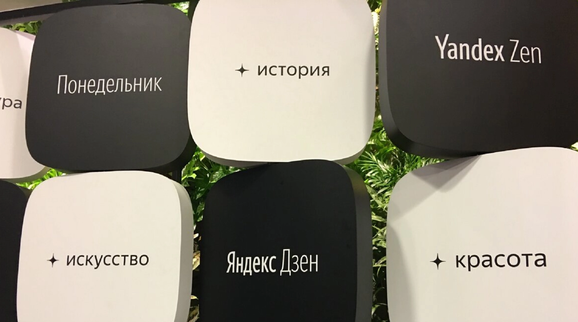Много видео, больше подписчиков, посты на 24 часа, развенчание легенд... – обновления в работе «Яндекс.Дзен»