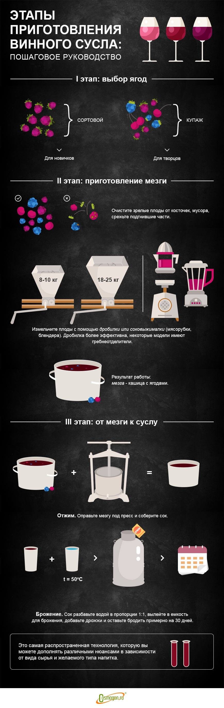 Пример инфографики: этапы приготовления винного сусла