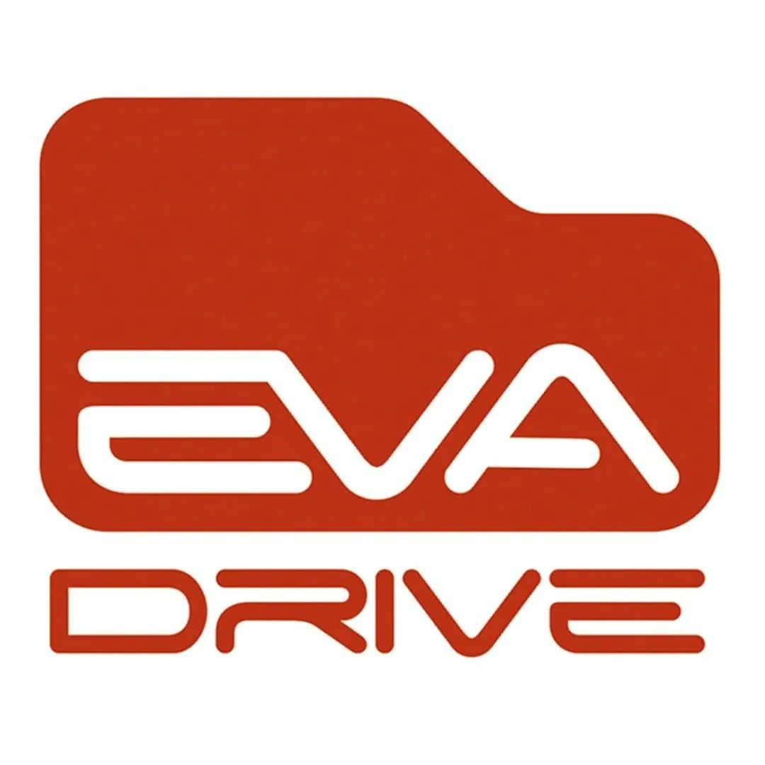 Перформанс-маркетинг для Eva-drive