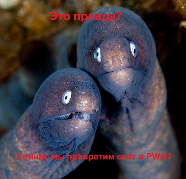 нанимать разработчиков и платить за внедрение PWA