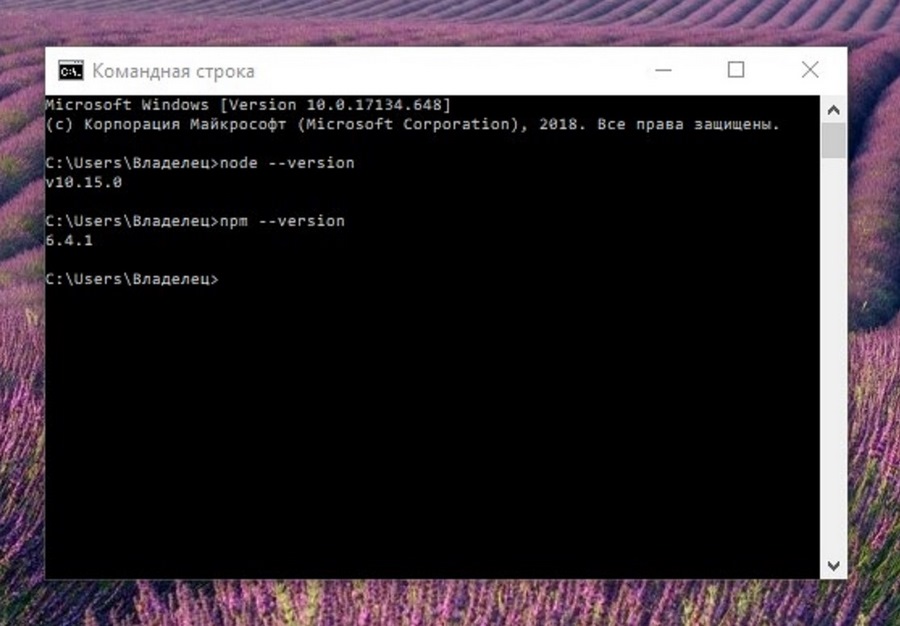Проверяем установку Node.js Проверяем установку Node.js