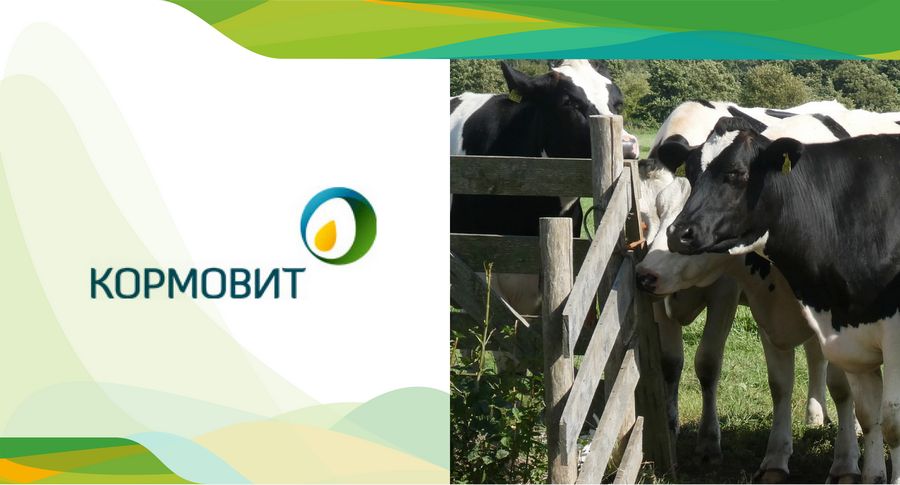 Модернизация сайта компании «Кормовит» - фото