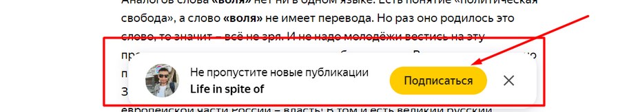Что значит подписаться на канал в яндекс дзен. Смотреть фото Что значит подписаться на канал в яндекс дзен. Смотреть картинку Что значит подписаться на канал в яндекс дзен. Картинка про Что значит подписаться на канал в яндекс дзен. Фото Что значит подписаться на канал в яндекс дзен