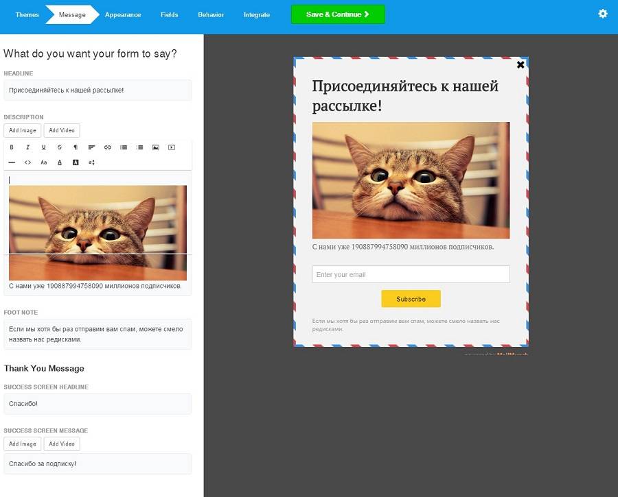Настройте дизайн формы. Настройте дизайн формы.