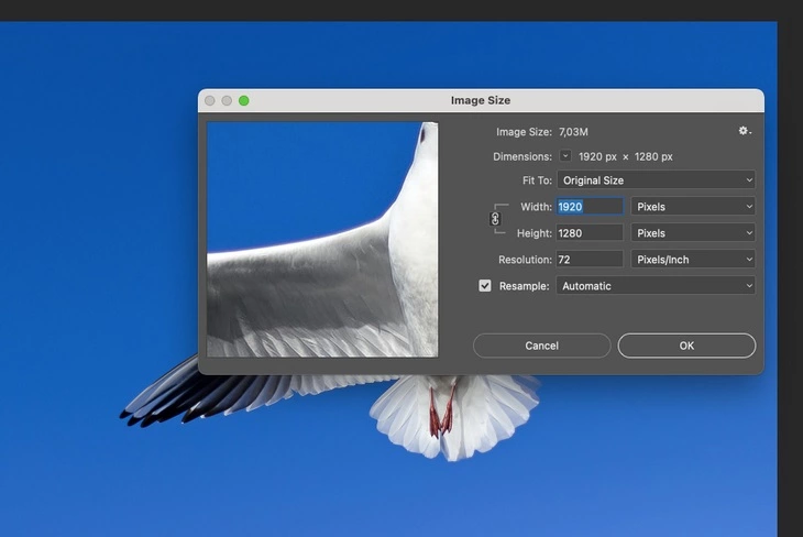 Как мгновенно изменить размер фотографии в Adobe