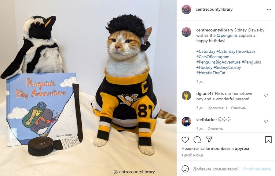 В день, когда был опубликован этот пост, на аккаунт подписались 138 человек. В дни, когда Гораций не светится в Instagram*, появляется 1-9 фолловеров