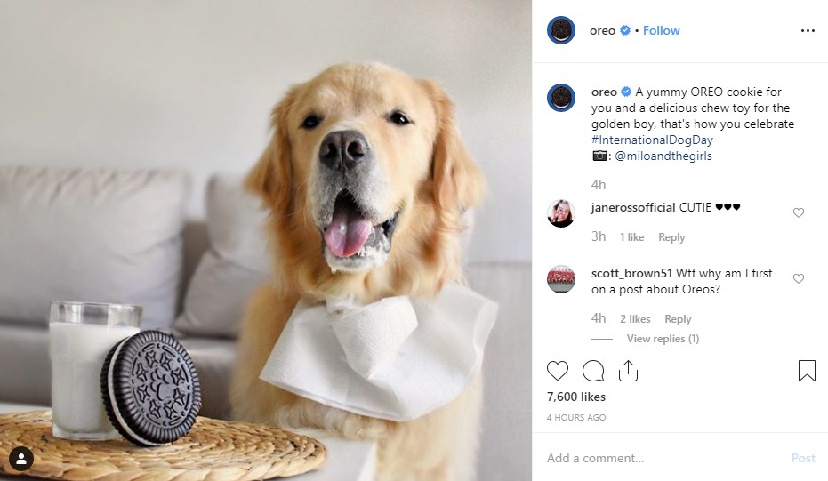 Вот Oreo и GoPro празднуют день собак.