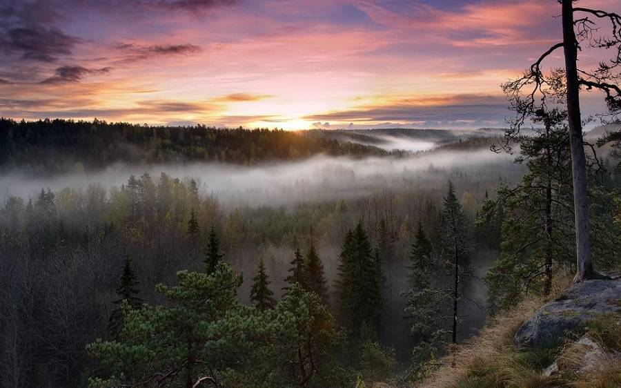 В Финляндии чудесная природа. И такие же возможности для бизнеса