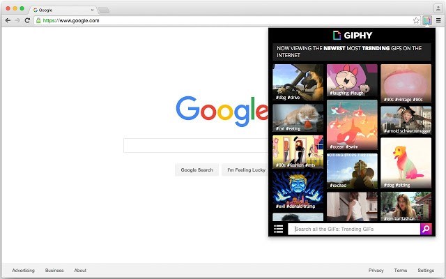 Окно поиска Giphy for Chrome