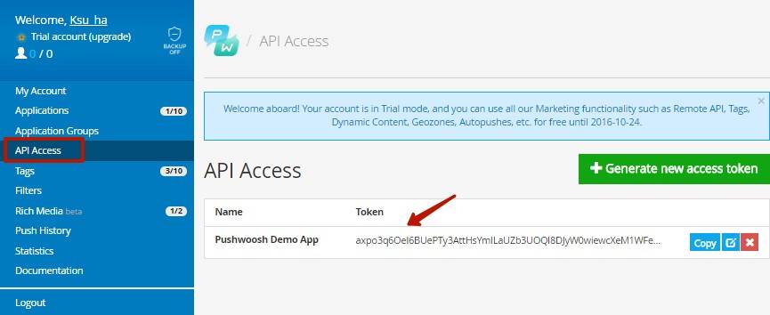 Доступ к API можно получить в разделе API Access Доступ к API можно получить в разделе API Access