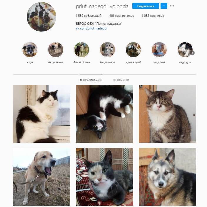 Instagram*-лента вологодского ОЗЖ «Приют надежды» удобна, если ищешь себе друга – зашел, посмотрел, выбрал – и ничего лишнего Instagram*-лента вологодского ОЗЖ «Приют надежды» удобна, если ищешь себе друга – зашел, посмотрел, выбрал – и ничего лишнего