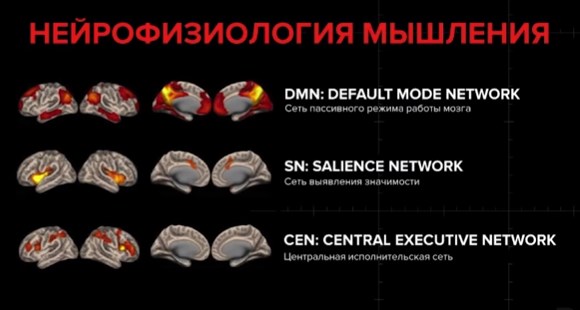 Картинка взята из лекции Андрея Курпатова «Мозг: инструкция по применению». Картинка взята из лекции Андрея Курпатова «Мозг: инструкция по применению».