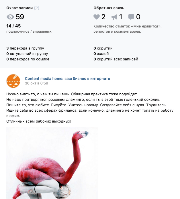 Воодушевляющий эротический фламинго горячего контента