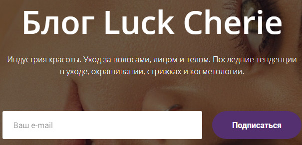 Форма подписки на новости блога Форма подписки на новости блога