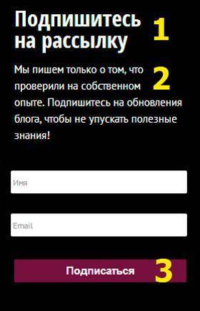 Форма подписки на рассылку на сайте leadmachine.ru