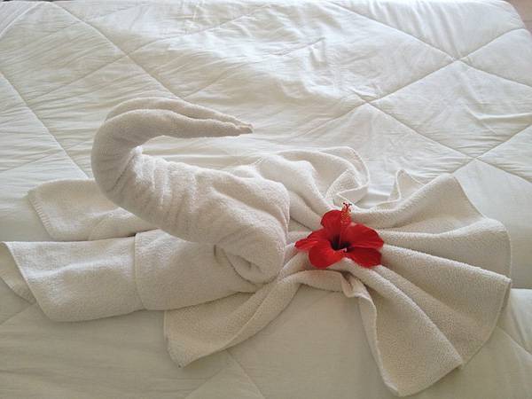 Сложенное лебедем полотенце и цветок — это круче скидки