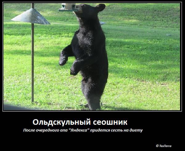Олдскульный сеошник. После очередного апа «Яндекса» придется сесть на диету.