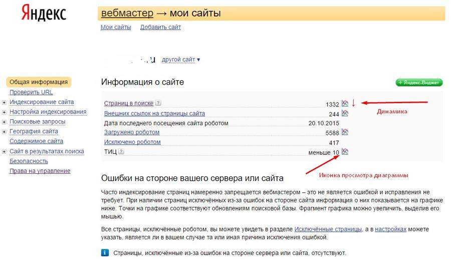 Полная информация о сайте. Индексирование сайта в Яндексе. Индексация страниц сайта.