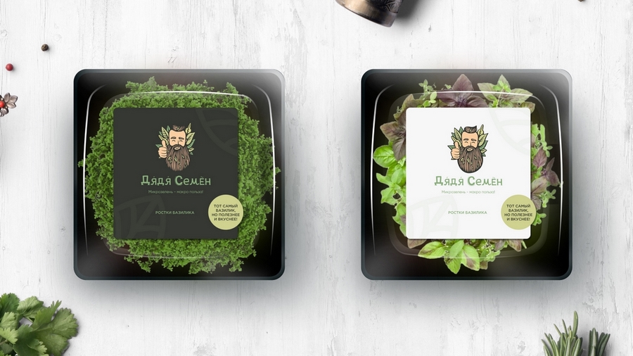 Кейс: разработка нейминга и фирменного стиля под каждый вариант названия