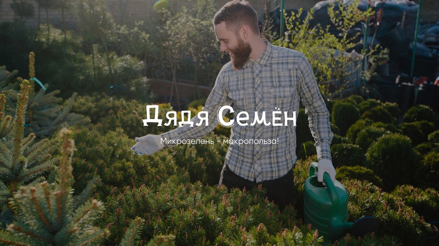 Кейс: разработка нейминга и фирменного стиля под каждый вариант названия