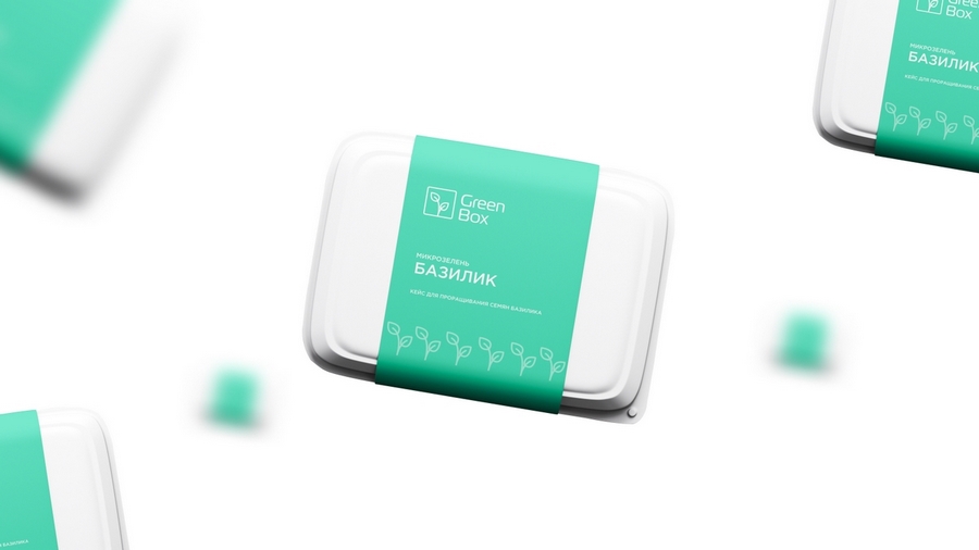 Кейс: разработка нейминга и фирменного стиля под каждый вариант названия