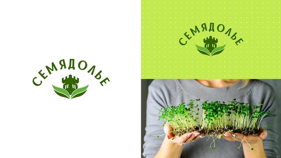 Кейс: разработка нейминга и фирменного стиля под каждый вариант названия