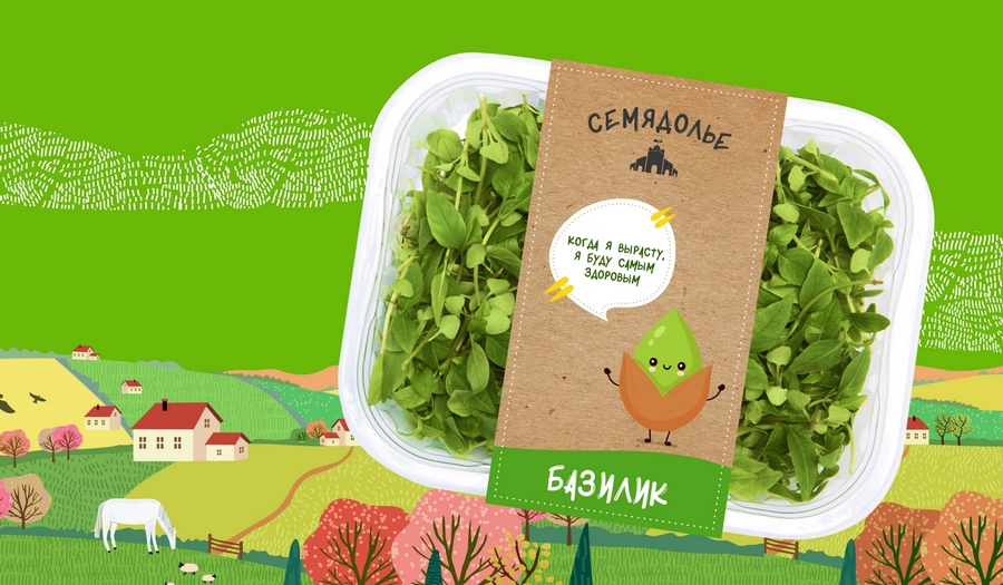 Кейс: разработка нейминга и фирменного стиля под каждый вариант названия