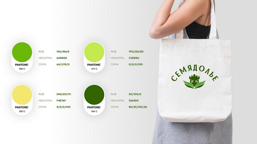 Кейс: разработка нейминга и фирменного стиля под каждый вариант названия