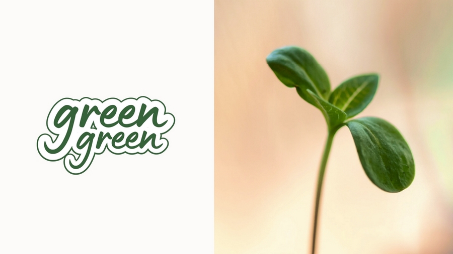 Кейс: разработка нейминга и фирменного стиля под каждый вариант названия