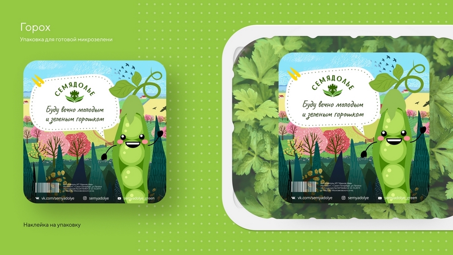 Кейс: разработка нейминга и фирменного стиля под каждый вариант названия