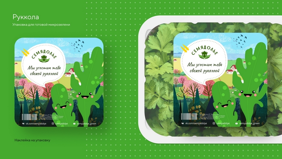 Кейс: разработка нейминга и фирменного стиля под каждый вариант названия