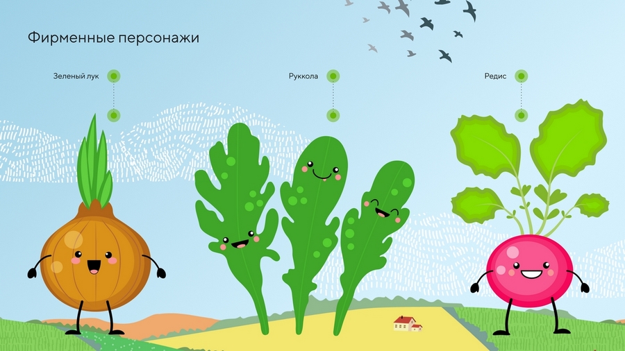 Кейс: разработка нейминга и фирменного стиля под каждый вариант названия