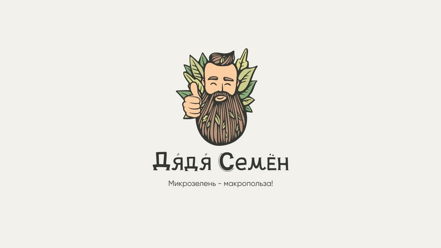 Кейс: разработка нейминга и фирменного стиля под каждый вариант названия