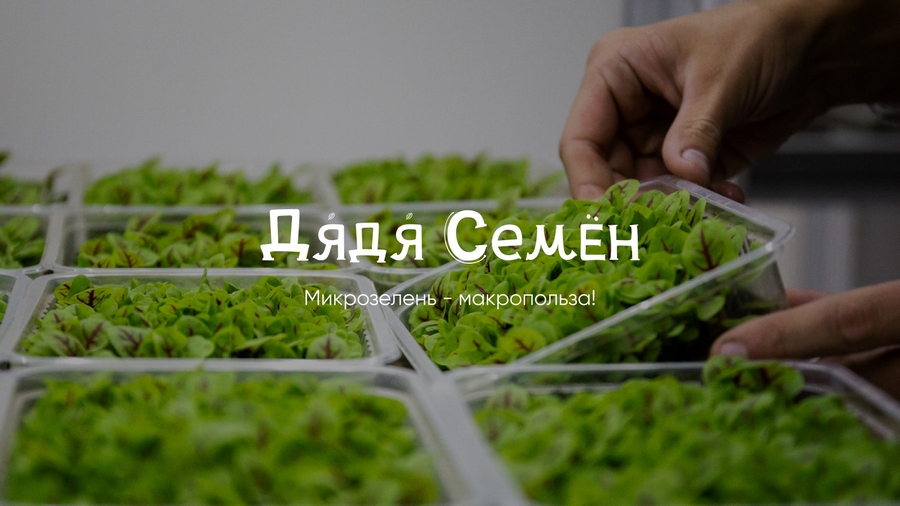 Кейс: разработка нейминга и фирменного стиля под каждый вариант названия