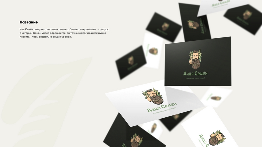 Кейс: разработка нейминга и фирменного стиля под каждый вариант названия