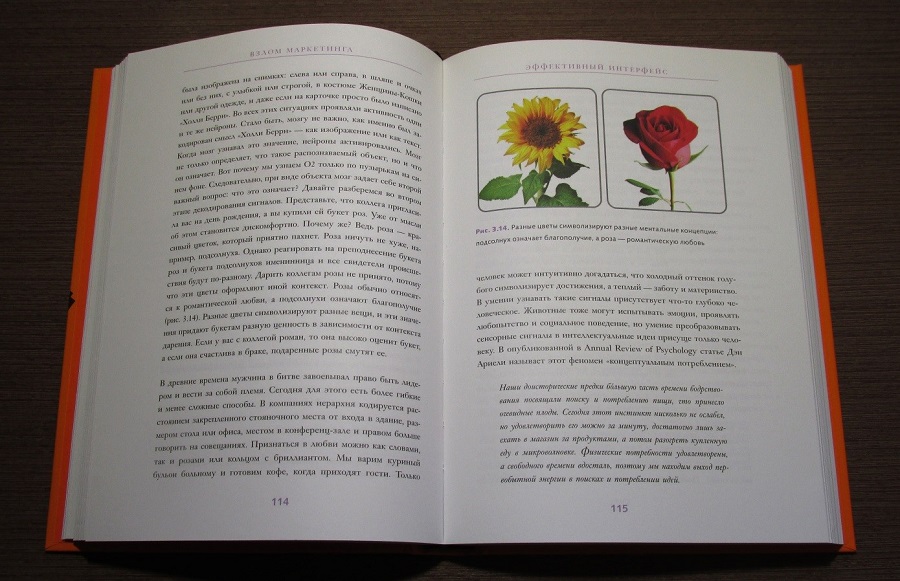 Фил Барден «Взлом маркетинга»: подсолнечник и роза – разные ментальные концепции