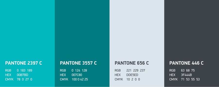 Фирменные цвета, которые мы подобрали для проекта