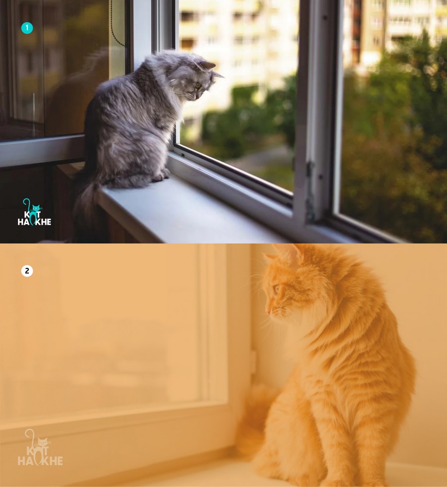 Воспроизведение на фотографических фонах