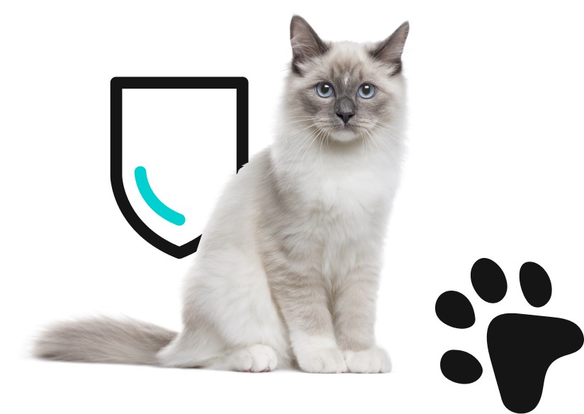 Подбор фотоматериалов