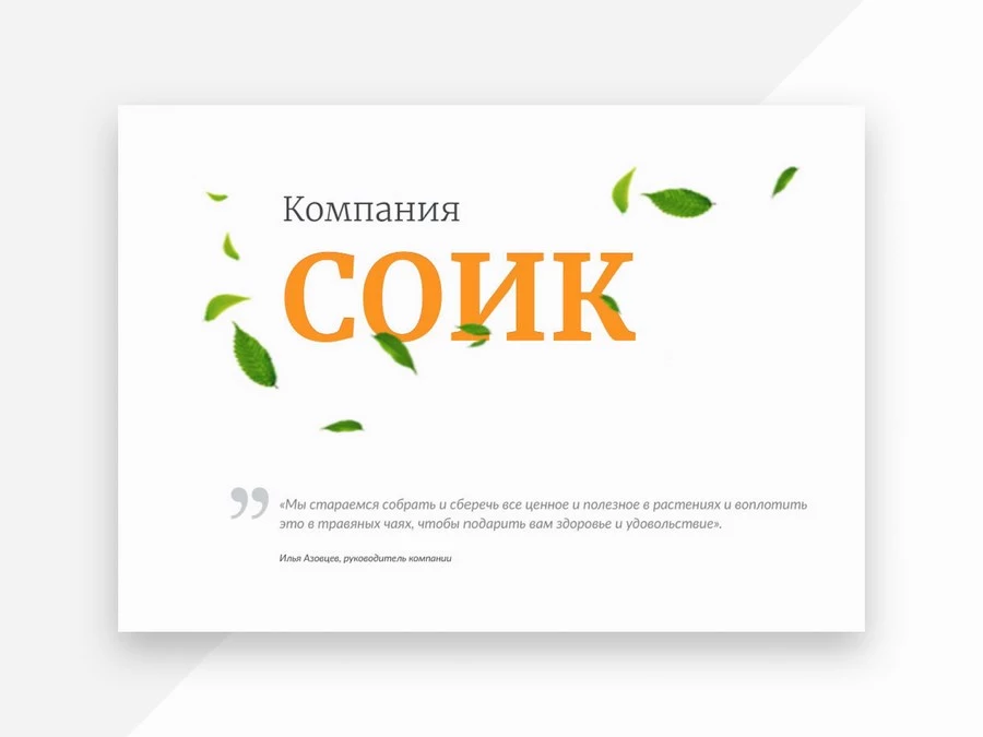 Разработка коммерческого предложения для «СОИК»