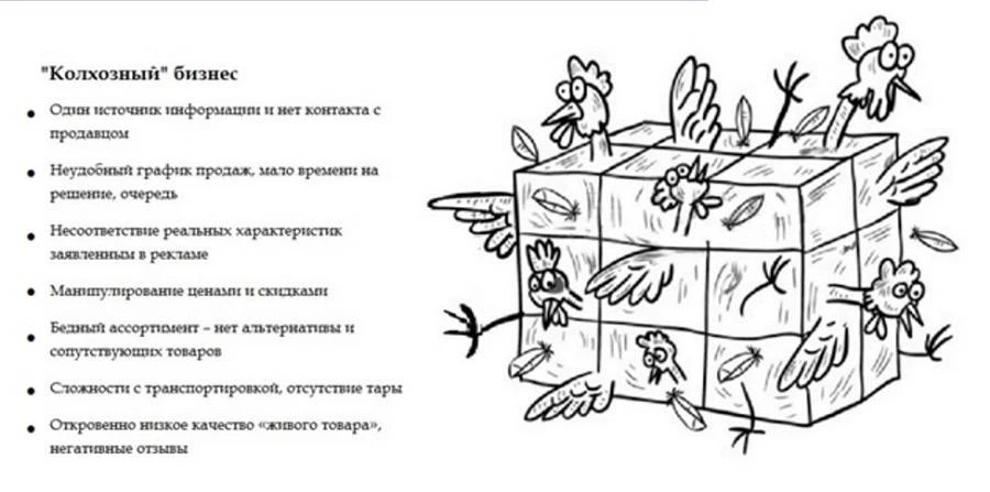 Чем нам запомнились конкуренты