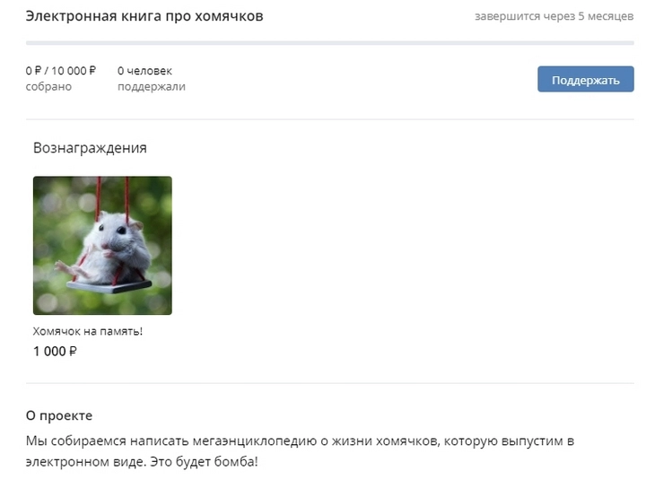 Примерно так можно презентовать проект подписчикам Примерно так можно презентовать проект подписчикам