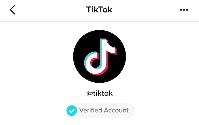 Так выглядит значок подлинности в TikTok