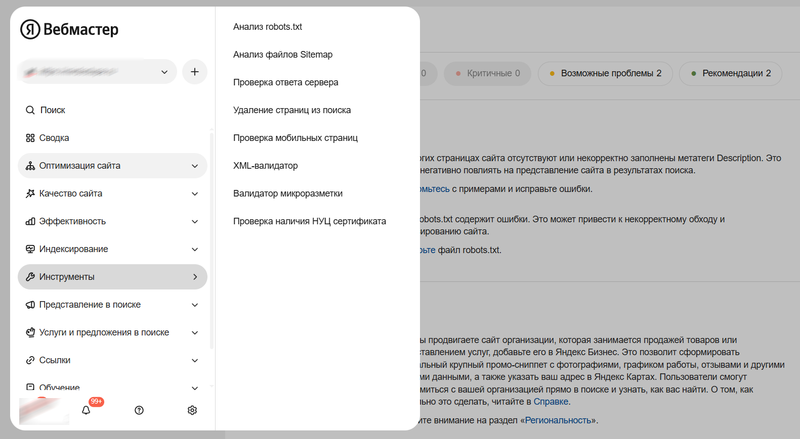 В Яндекс Вебмастере есть инструменты для первоначального аудита, который можно провести самостоятельно